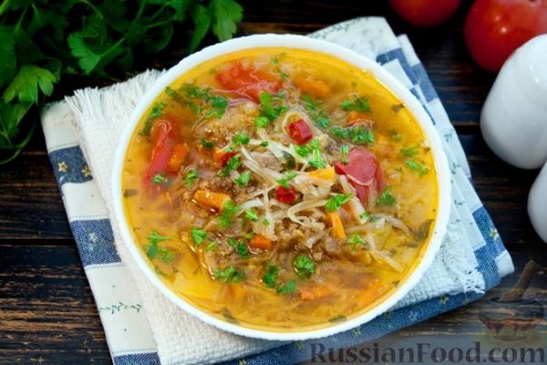 Суп из капусты с мясным фаршем и болгарским перцем