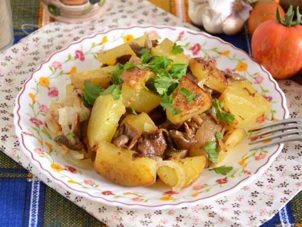 Жареная картошка с вареными грибами (опятами)